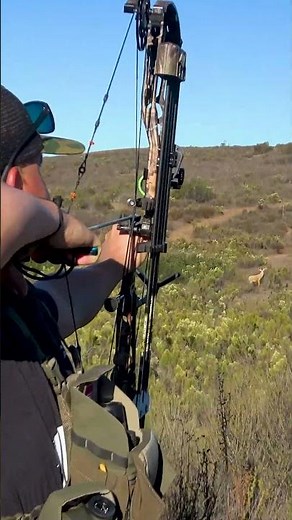 perfect 76 yard bow shot