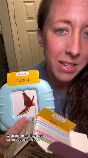 Kids Love This Flash Card Reader That Makes Learning Fun!