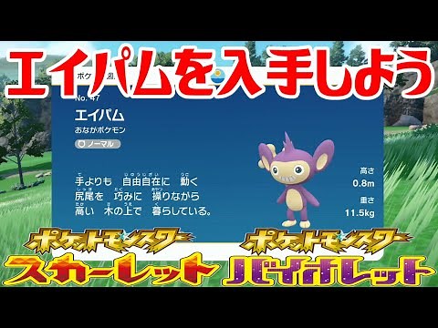 【ポケモンSV】エイパムを入手しよう【ポケットモンスター スカーレット・バイオレット ゼロの秘宝 碧の仮面】Pocket Monsters