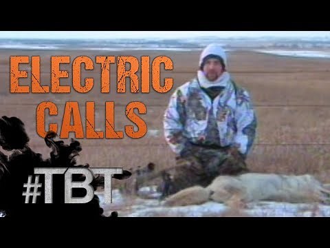 Hunting Coyotes with Electric Calls!