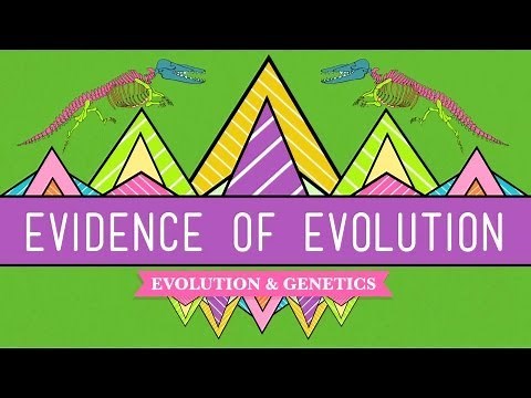 Evolution: It's a Thing - Crash Course Biology #20