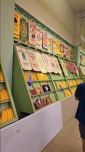 Seed Corn Display at Minnesota State Fair — Impressive! 🌾✨