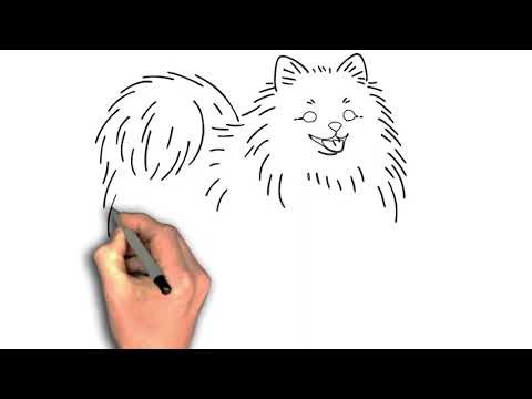 “How to Draw a Pomeranian: Fluff and Charm”, Pomeranian dog drawing image