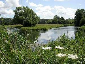Eastleigh to Winchester River Itchen Walk Route