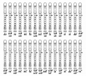 67K views · 221 reactions | Recorder Fingering chart | Vicpiano | Facebook