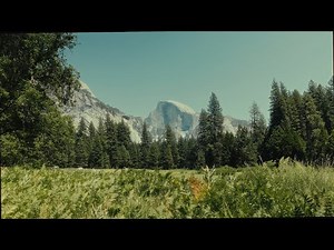 Canon R6 Mark II: No IBIS, No Problem?