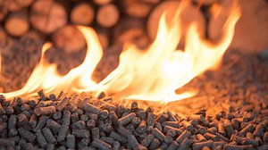 Biomass - BBC Bitesize