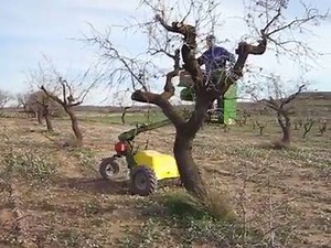 116K views · 833 reactions | Remote Control Tree pruning.. | Tractors & Farm Machinery | Facebook