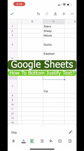 How to Bottom Justify In Google Sheets Mobile?