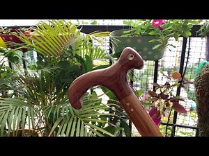 How I Made My Own Walking Stick (DIY Project)