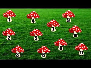 Introduction to Number 11, Number-11 for kindergarten, Jr.kg. Sr.kg, number for kids