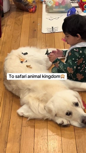 Life is ruff with a toddler 😂🙈#dog #funny #fyp #toddler #goldenretriever