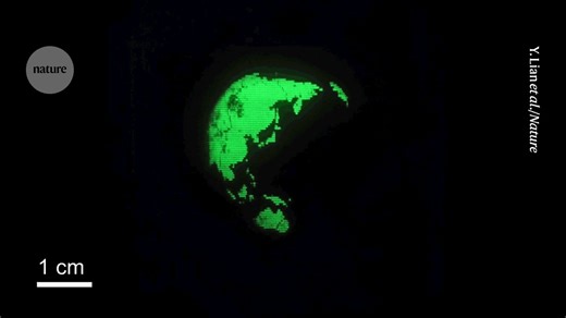 15K views · 51 reactions | World’s tiniest LED display has pixels smaller than a virus https://go.nature.com/42dWWXf | Nature | Facebook