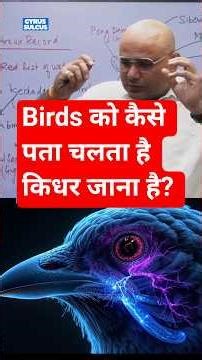 Bird's Magical GPS #dharmendrasir #gyrussulcus #upsc #science #nanotechnology #quantumphysics