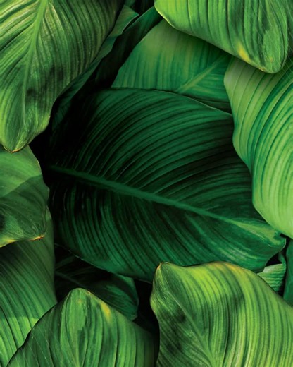 NB Private Equity's Direct Investment Strategy with Gabriel Ng | Neuberger Berman posted on the topic | LinkedIn