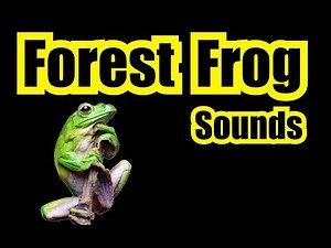 LOUD FOREST FROG SOUNDS FOR SLEEPING ✪ NATURE SOUNDS 12 HOURS