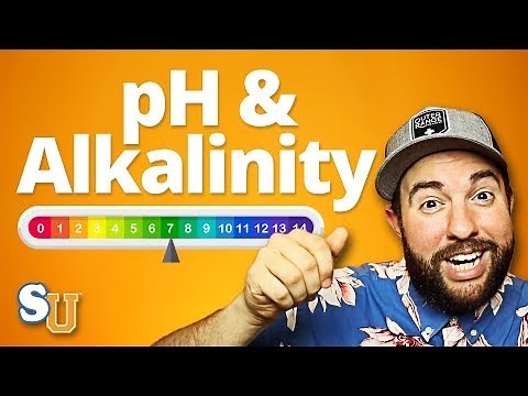 POOL CHEMISTRY 101: How to Keep Your Water Balanced