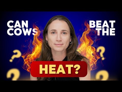 Cows Under Heat Stress: Shocking Effects on Reproduction - Dr. Anna Denicol