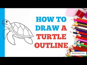 How to Draw a Turtle Outline: Easy Step by Step Drawing Tutorial for Beginners