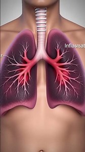 Smoking Destroys Your Organs | View Description for Full Lesson