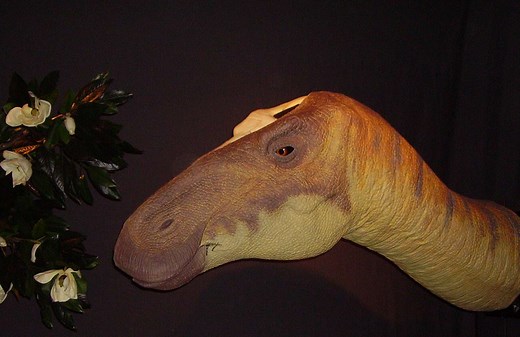 The 10 Strangest and Funniest Dinosaur Names