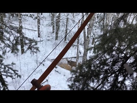 Long Bow Hunting Huge Whitetail in the Rifle Season?!
