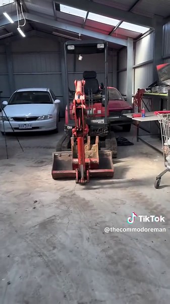 Managing Rodent Issues in Your Shed