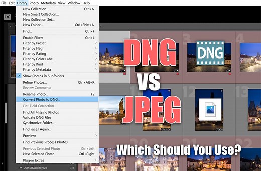 DNG vs JPEG: Which Should You Use?