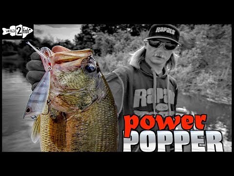 Tips for Fishing Poppers for Springtime Bass