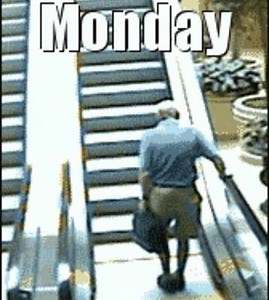 Monday after SHOT Show... #tacticaldistributors #staytactical #monday | Tactical Distributors
