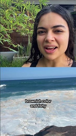 What's ACTUALLY in Sea Foam...