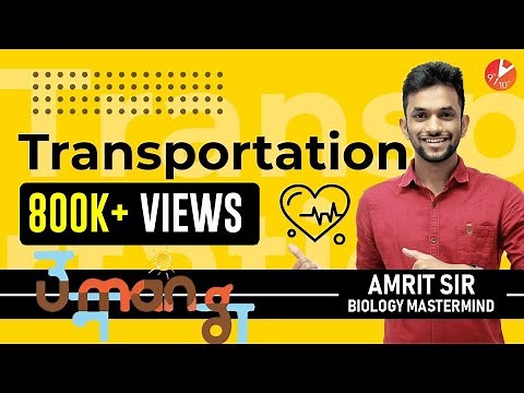Life Processes CBSE Class 10 | Transportation - Part 1 | Biology | Board Exam Preparation | Vedantu