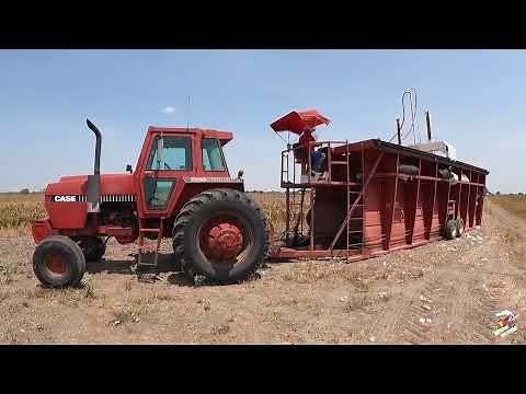 Texas Cotton Harvest | Picking Cotton & Module Building