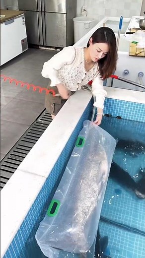 From Tank to Bag Live Fish Packing Guide.