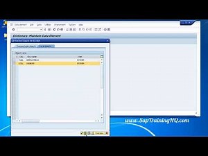 SAP ABAP Working With Your Database Tables Foreign Keys Structures Deleting Tables