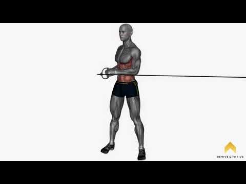 standing cable oblique twist