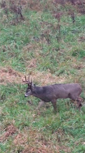 It’s the last day of your hunt. Are you pulling the trigger?