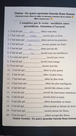Exercice de français : L'accord avec être et avoir et les pronoms toniques | Apprendre le français en s'amusant