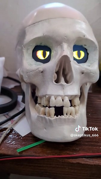 #zombies #Halloween #christmas #skull #skeletons #animatronics