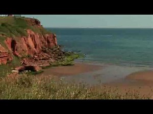 Devon Cliffs Haven Holiday & Caravan Park