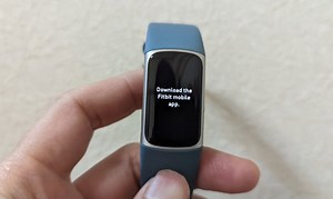 Fitbit Charge 5 を購入したのでデバイスや Android アプリについての設定メモ - 1ft-seabass.jp.MEMO