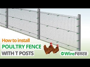 Poultry Fencing Installation with T posts and Chicken Wire | WireFence