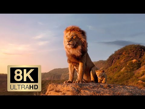 THE LION KING 8K Trailer (8K ULTRA HD 4320p)