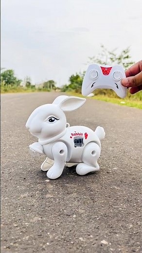 Remote Control RC Rabbit Toy Real Running Test 🐰🔥