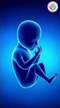 What Is an Anomaly Scan? | 18–22 Weeks Pregnancy Scan | Dr. Alkesh Soni