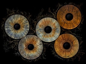 HOME | IRISPHOTO.ART