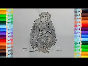 How to Draw a Chimpanzee - drawing tutorial step by step