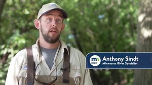 69K views · 908 reactions | How many of you have seen a paddlefish?...