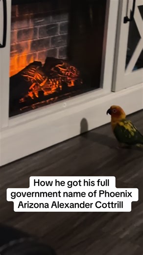 Discover the Meaning Behind Phoenix Arizona Cottrill