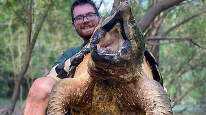 'Oh boy, another monster': Rare, 147-pound alligator snapping turtle caught in Mississippi